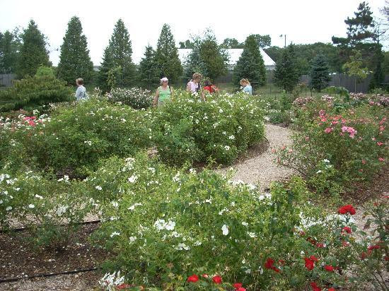 罗杰·威廉姆斯公园-普罗维登斯必去景点