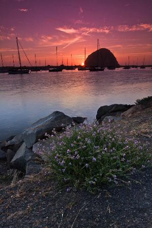 Central Coast Outdoors景点图片