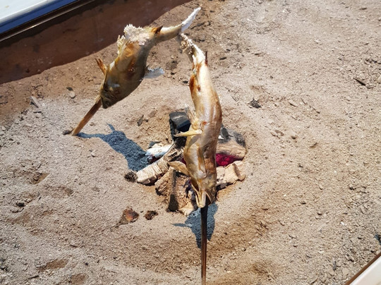 卡祖拉巴希酒店主图