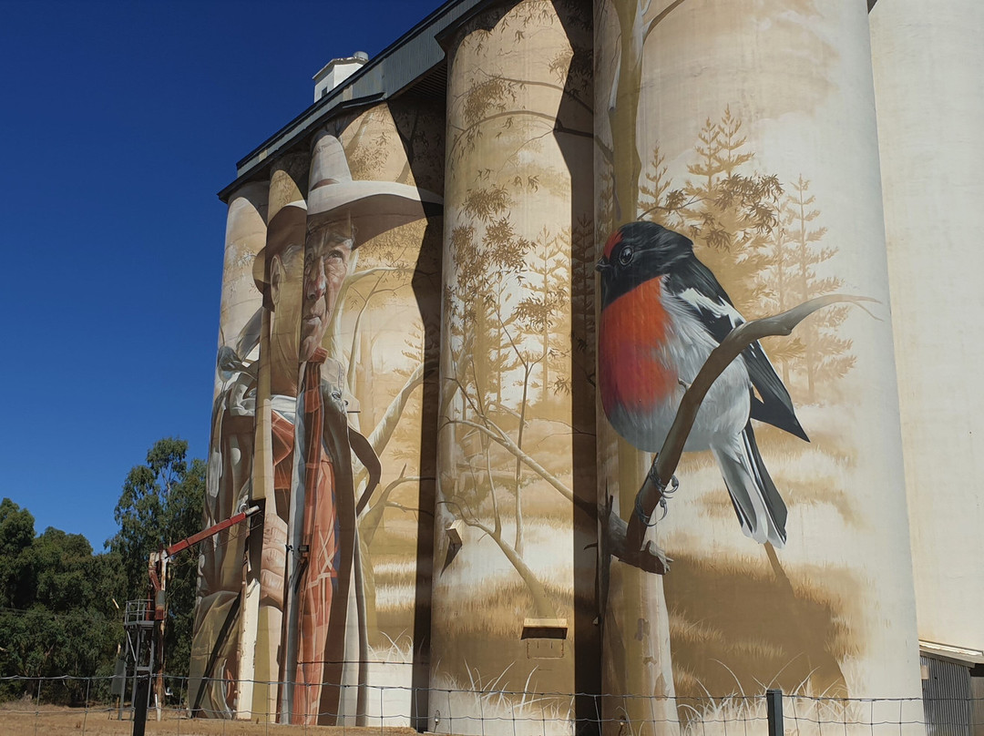 Wirrabara Silo Art景点图片