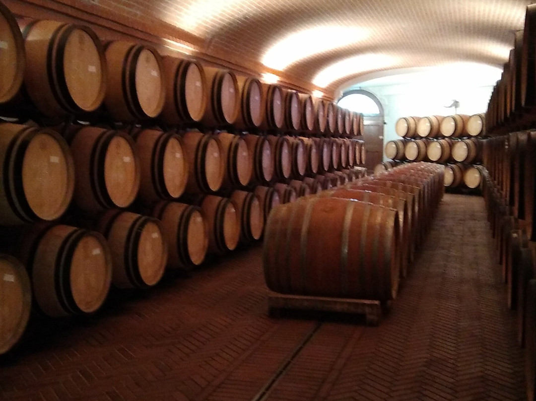 Castello di Querceto主图