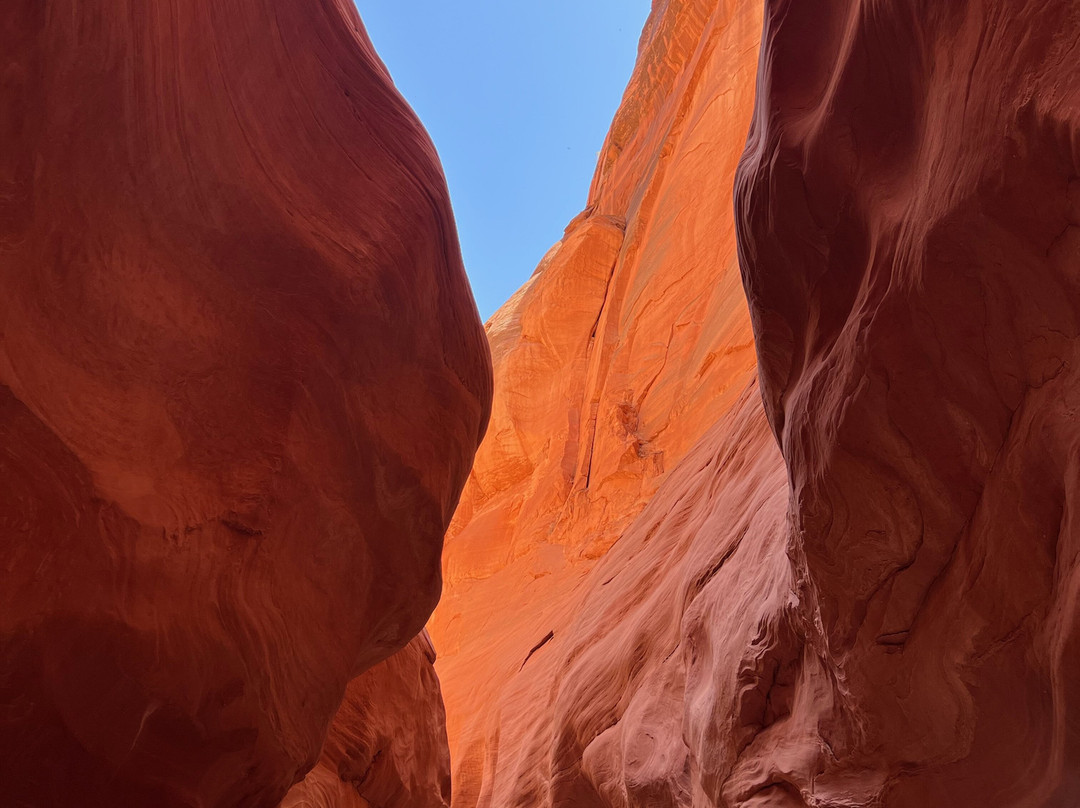 Paddle Express-佩吉必去景点