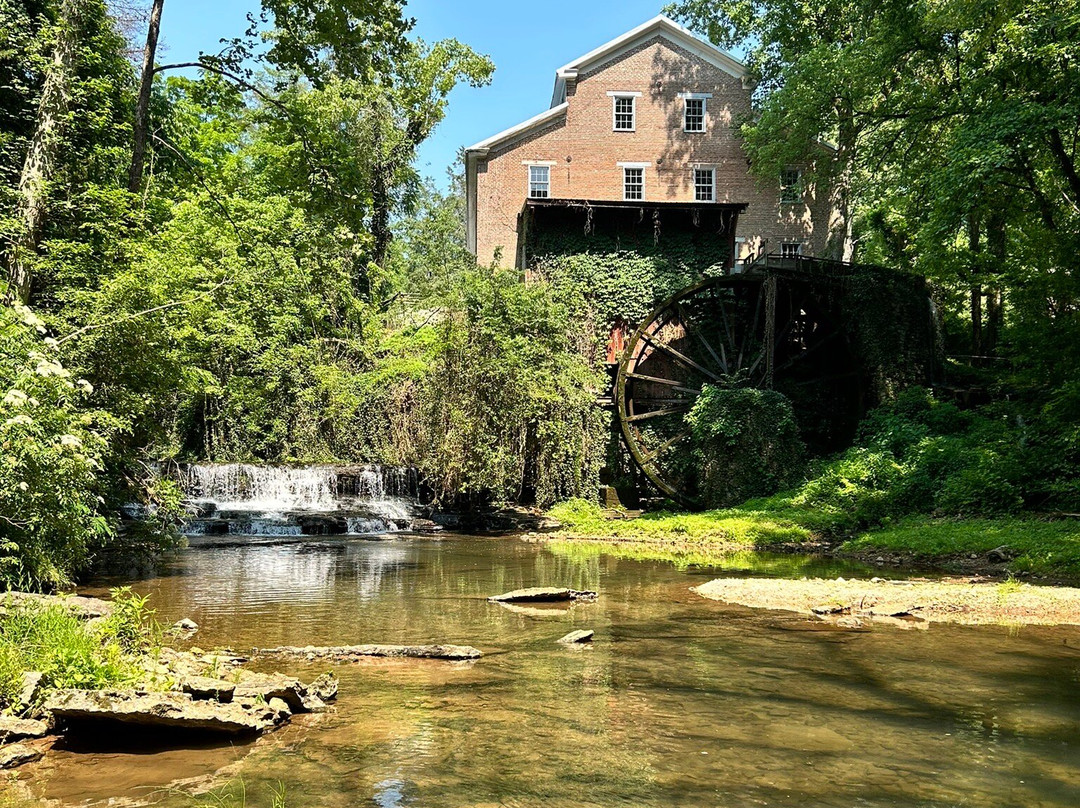 Falls Mill Log Cabin主图