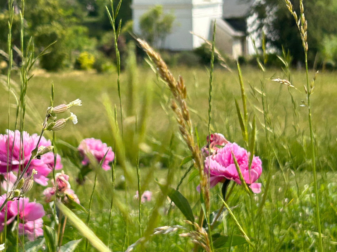 Chateau de la Bucherie主图