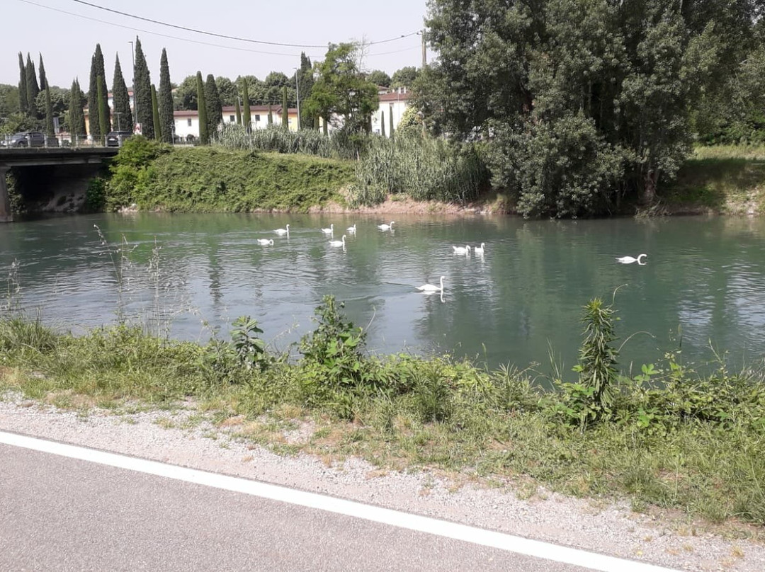 Pedalando Vai - Bike Rentals-明乔河畔瓦莱焦必去景点