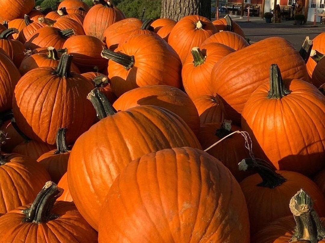 Oakwood Fruit Farm-Richland Center必去景点