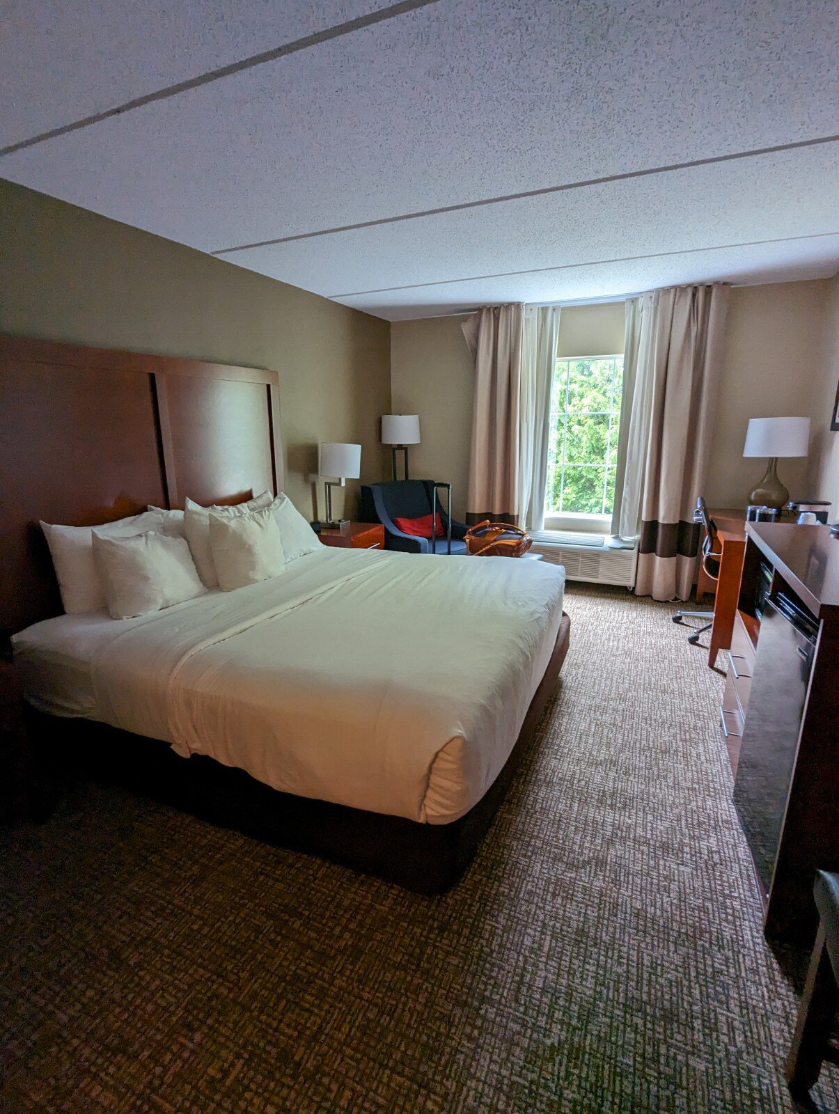 Wingate by Wyndham Grove City-客卧