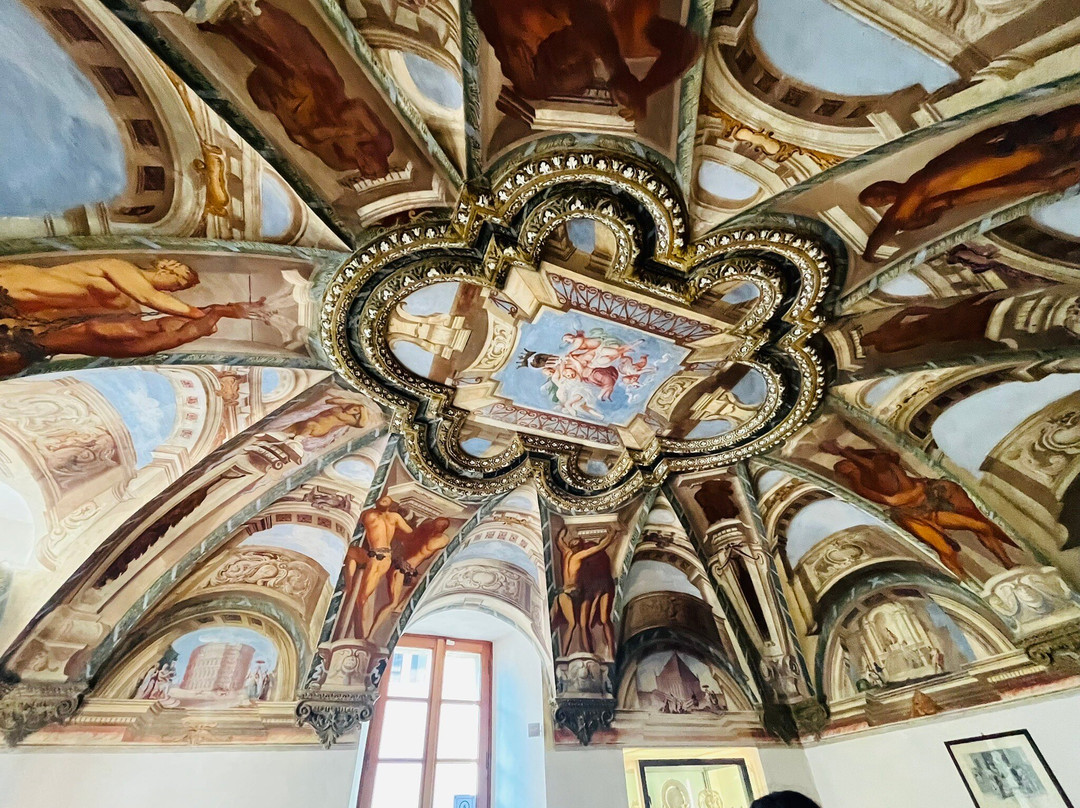 Palazzo Salis e Museo Senza Frontiere景点图片