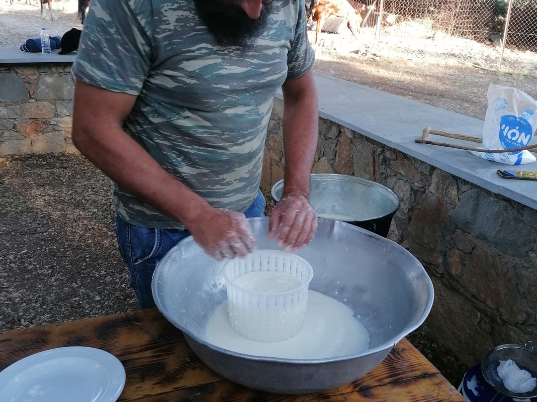 Fourni Horses-Fourni必去景点