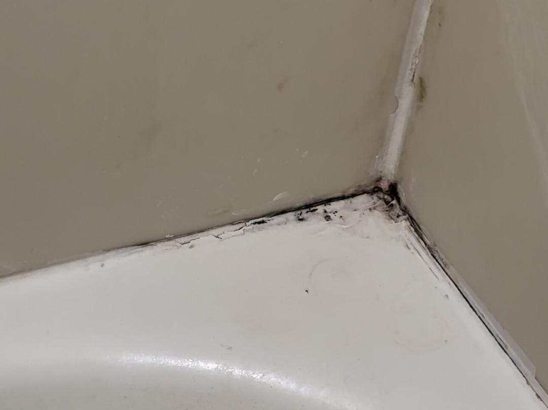 阿塔拉戴斯酒店主图