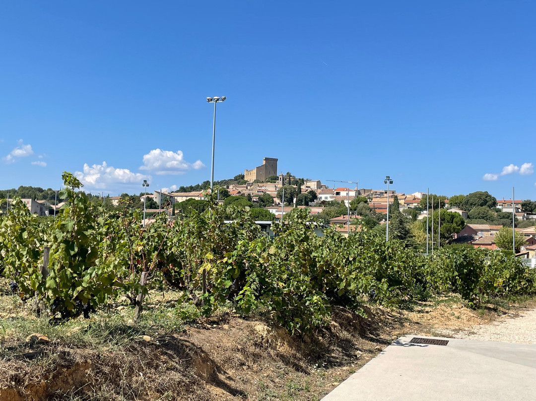 Philippe Guide in Provence-圣雷米必去景点