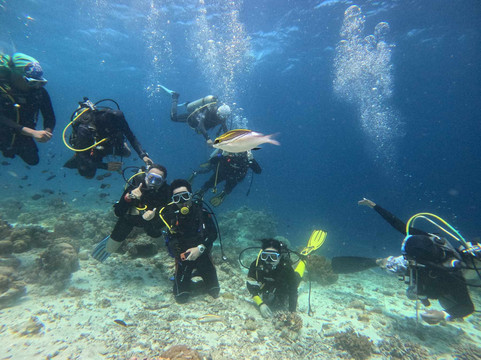 Jaimes Dive Center-拉普拉普必去景点