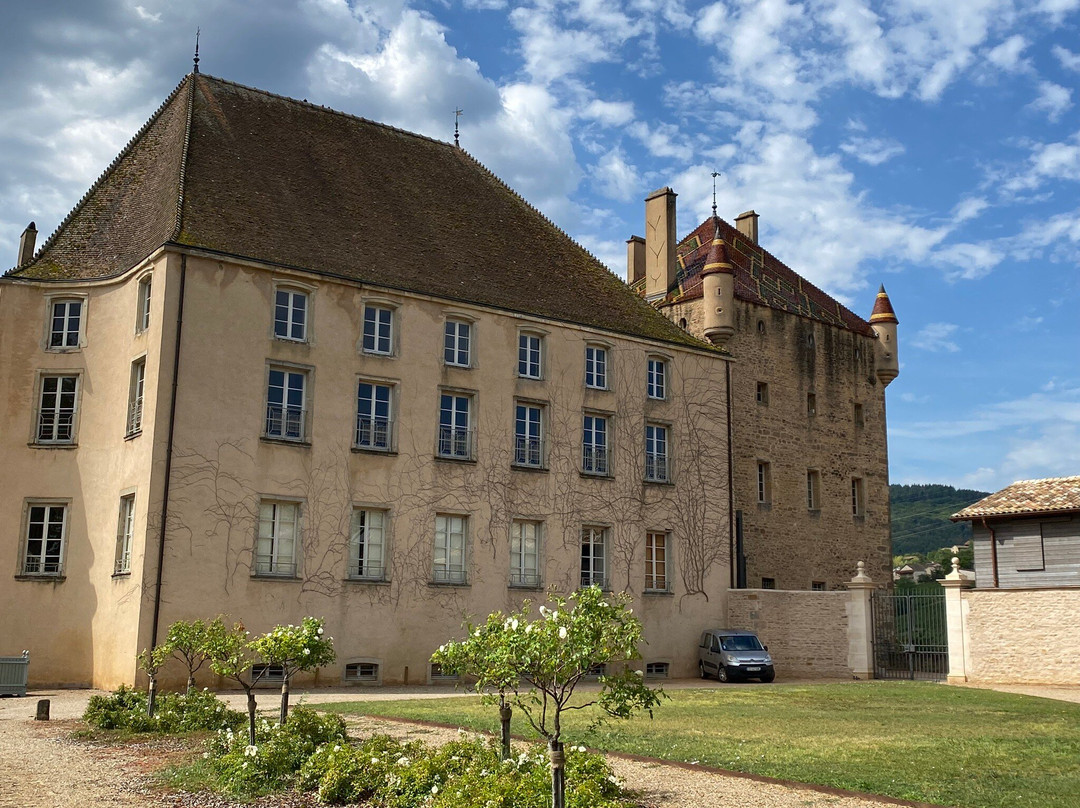 Château historique de Pierreclos景点图片