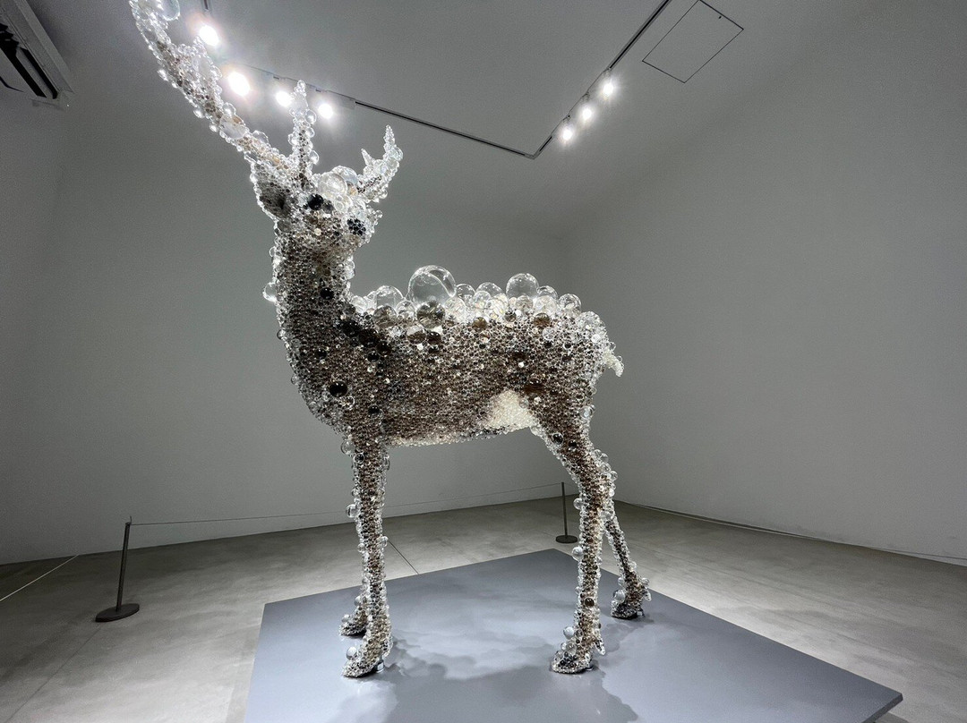 十和田市现代美术馆-十和田市必去景点