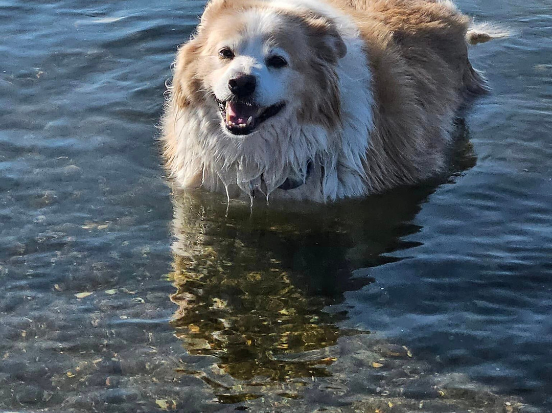 Sabin Point Park-Riverside必去景点