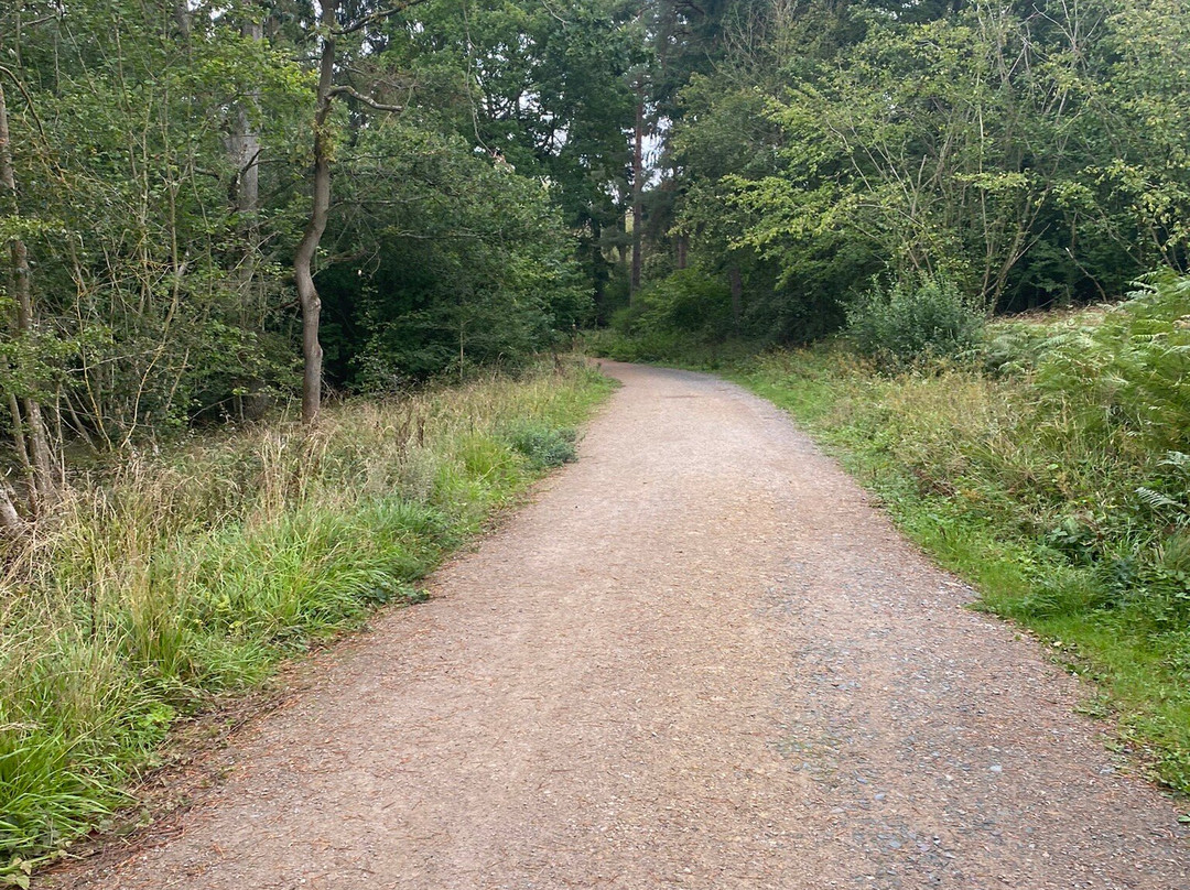 Fineshade Wood-科比必去景点