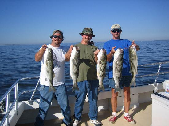 Wayne Gatling Guide Service-Rock Hall必去景点