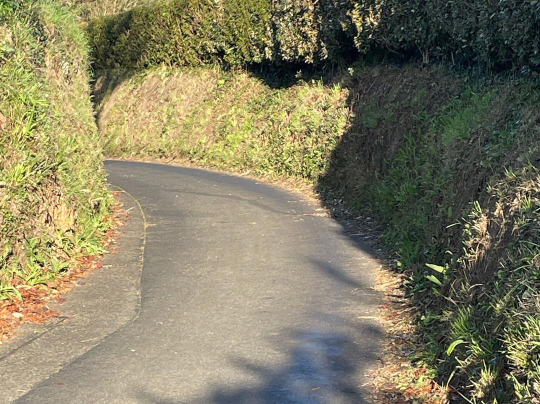 Go-Guernsey Land & Sea景点图片