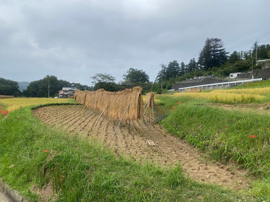 Terasaka Rice Terraces-横濑町必去景点