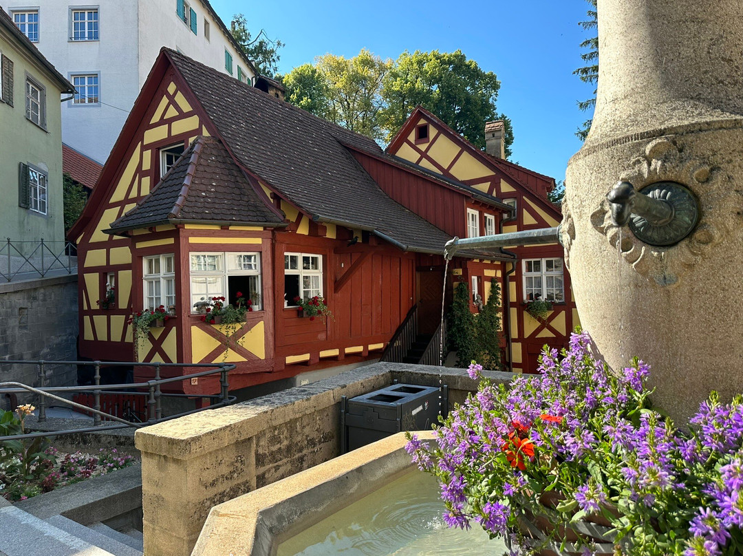 Sporthotel  Schoenblick主图