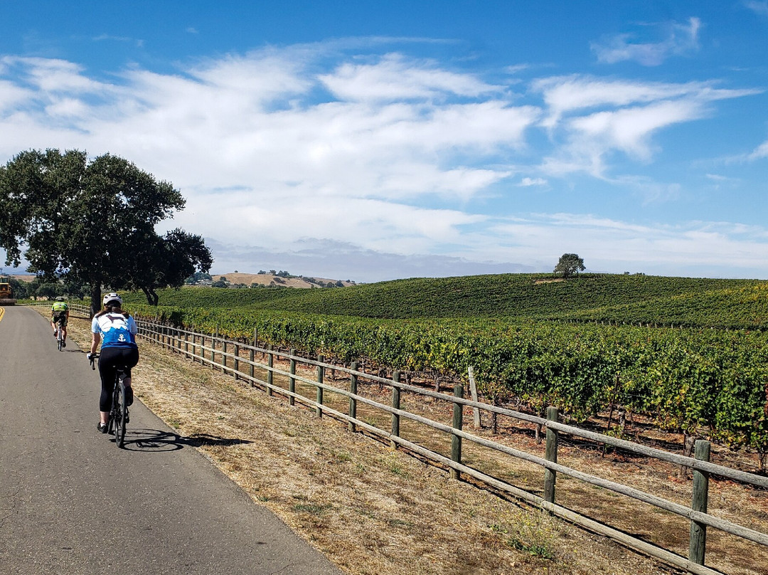 Santa Barbara Wine Country Cycling Tours景点图片