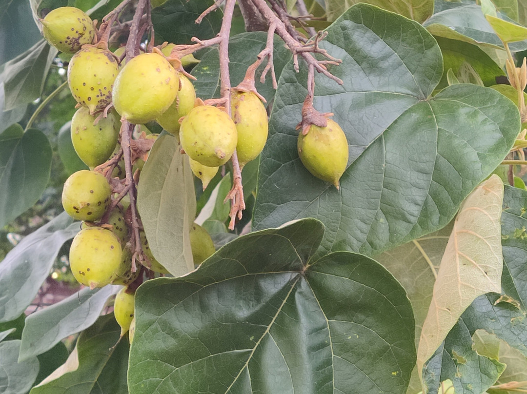 Inn at Narrow Passage主图