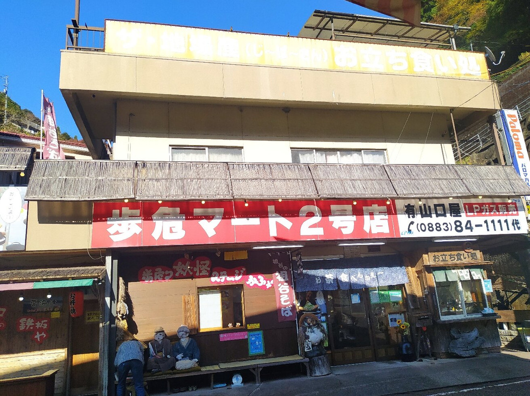 Oboke Station-三好市必去景点