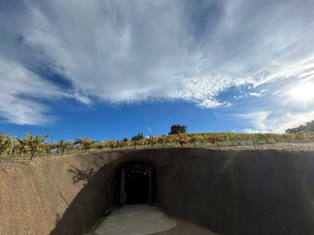 Bella Vineyards and Wine Caves景点图片