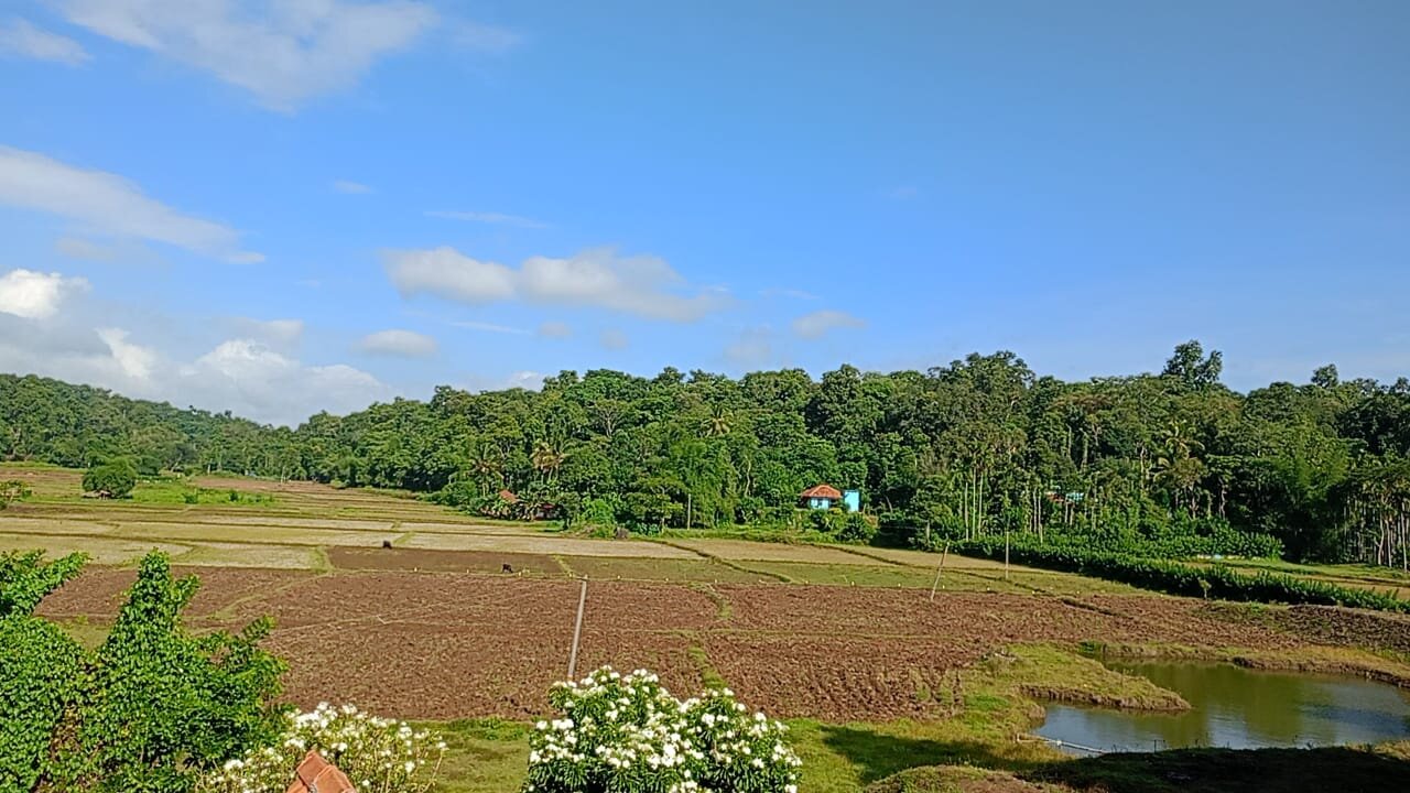 Mystery Maze Resort and Spa-酒店景观