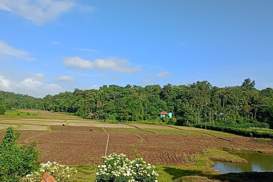 Kaniyambetta旅游攻略图片