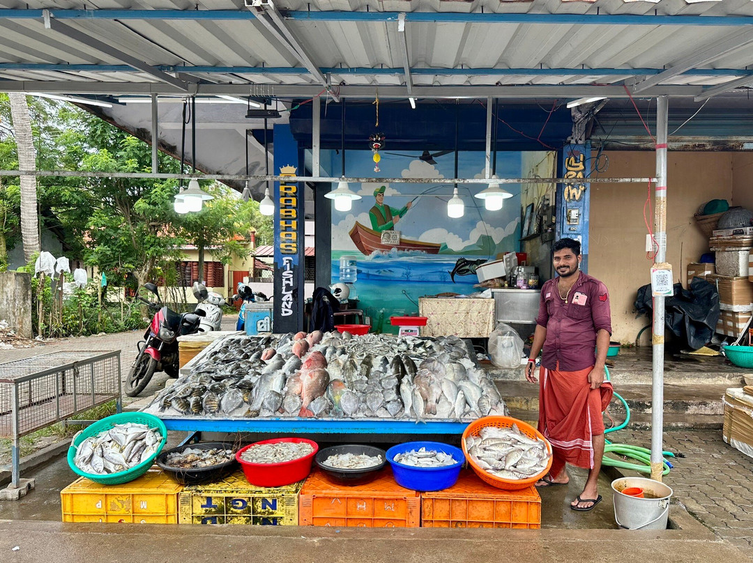 Wonderwerk Kitchen-科塔亚姆必去景点