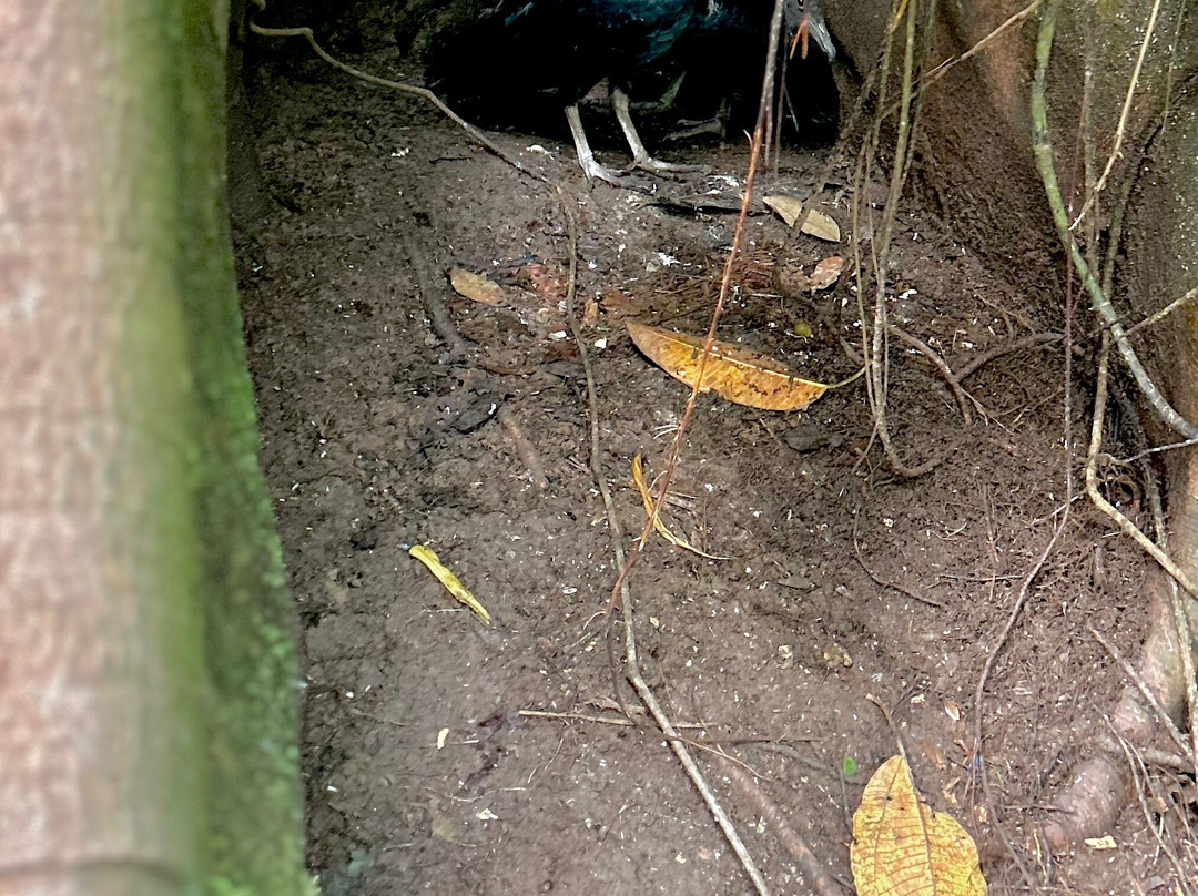 Toglo Cave-Tena必去景点