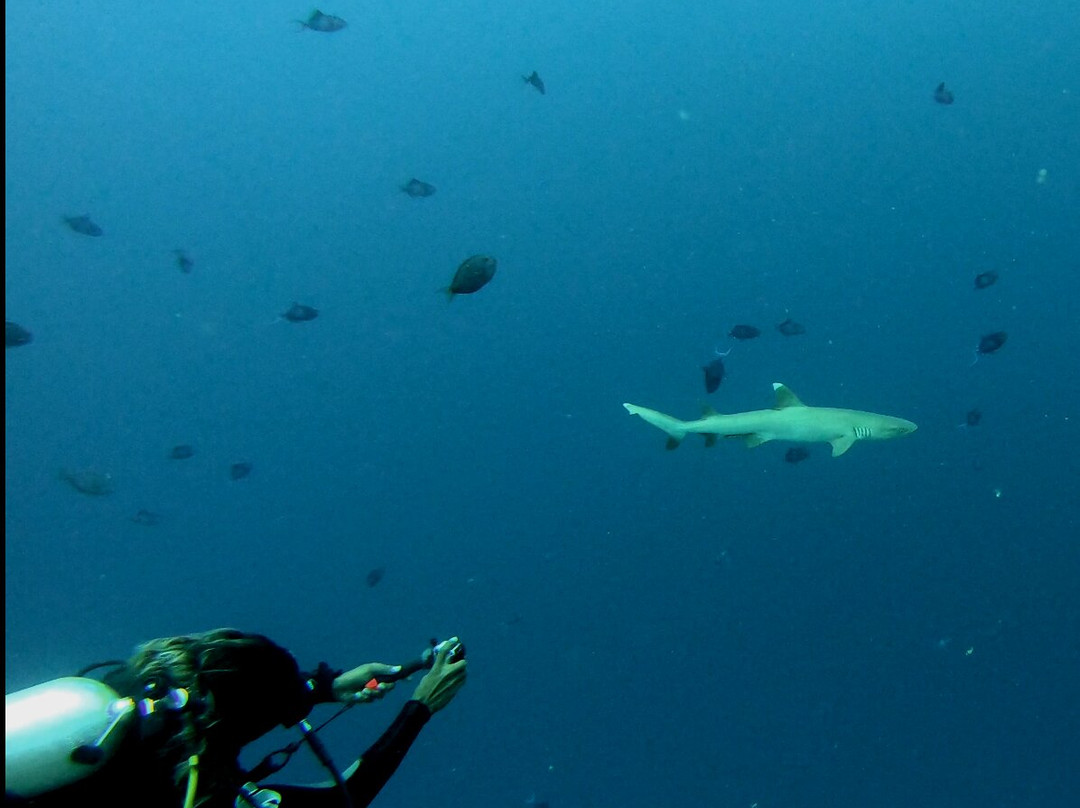 Endheri Dive Center景点图片