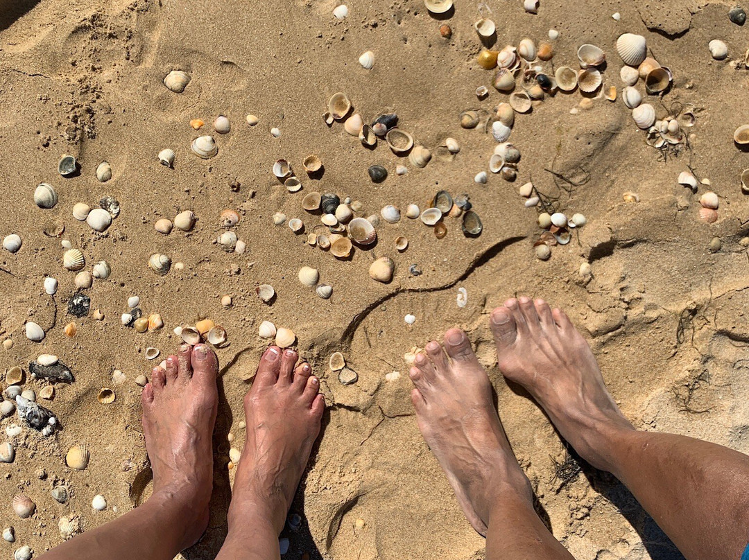 Costabeach Tavira Island and Tours-塔维拉必去景点