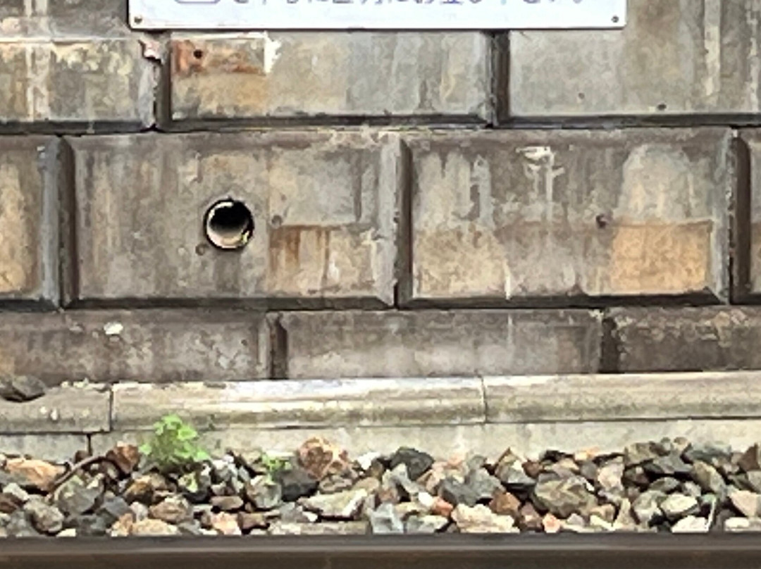 Nishi Nippon Railroad景点图片