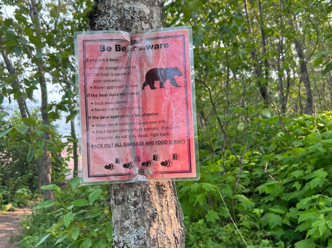 Black Beach-Silver Bay必去景点