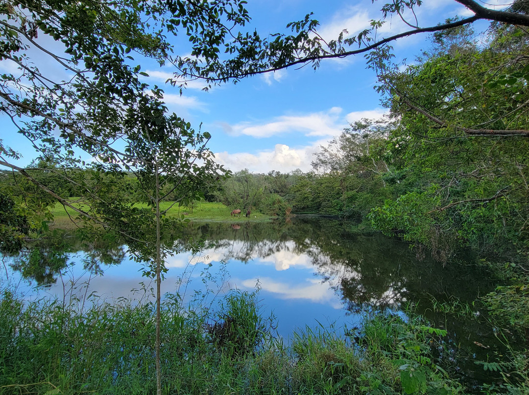 Rancho Primavera主图