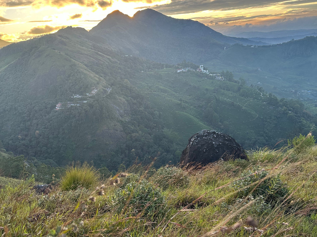 D Trek Munnar Adventure景点图片