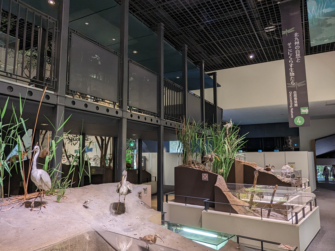 Kitakyushu Museum of Natural History & Human History-北九州市必去景点