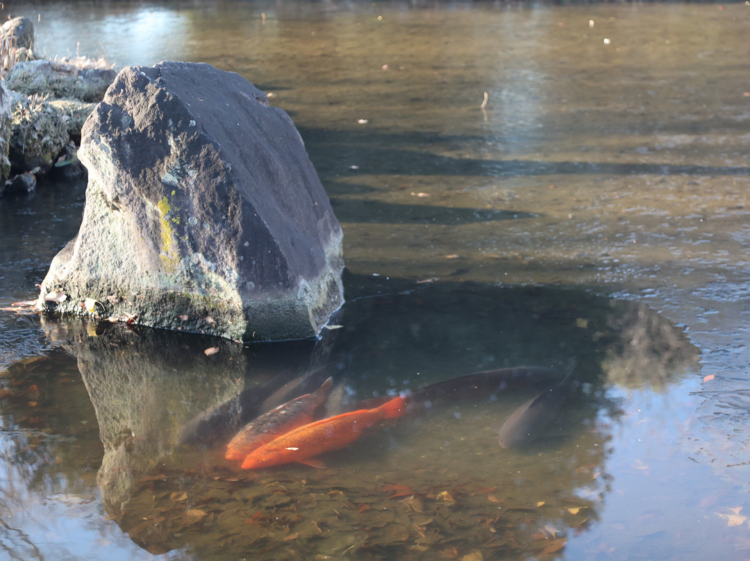 Akabori Seseragi Park-伊势崎市必去景点