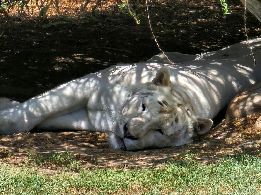 El Dorado Hotel & Self Catering主图