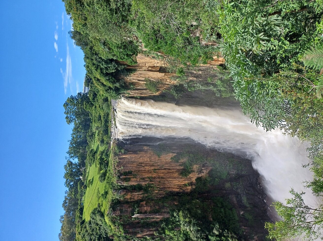Howick Falls-豪威克必去景点