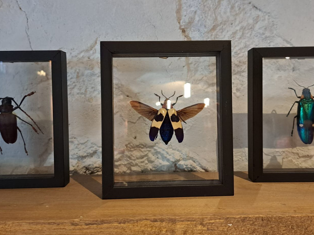 博伊斯涅德城堡酒店主图