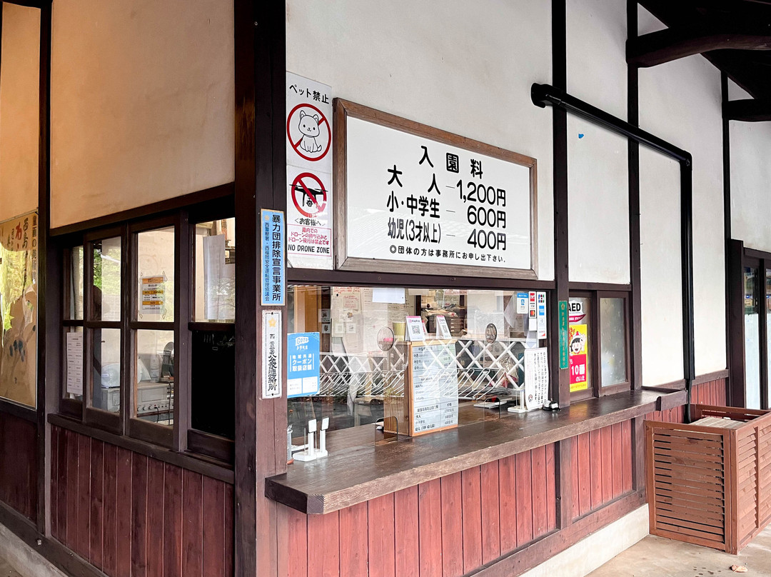 能古岛-福冈市必去景点