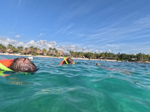 Marine Life Akumal MX-艾库玛尔必去景点