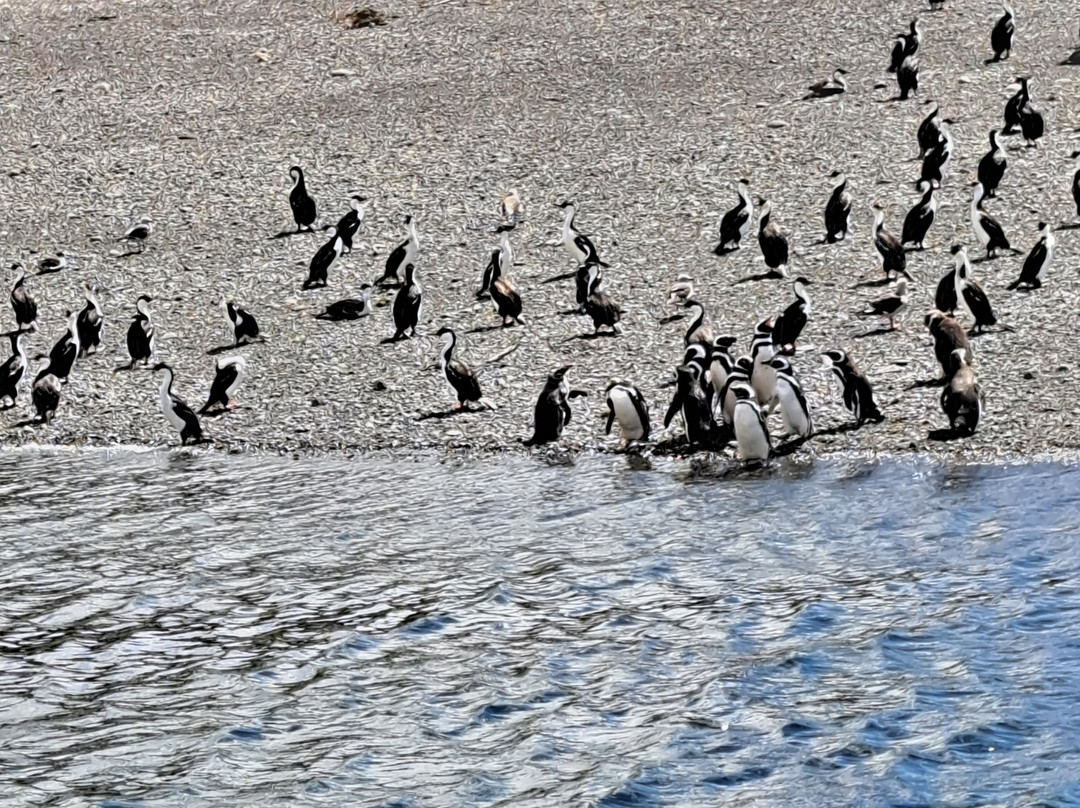 Quilun Ecoturismo Marino-Queilen必去景点