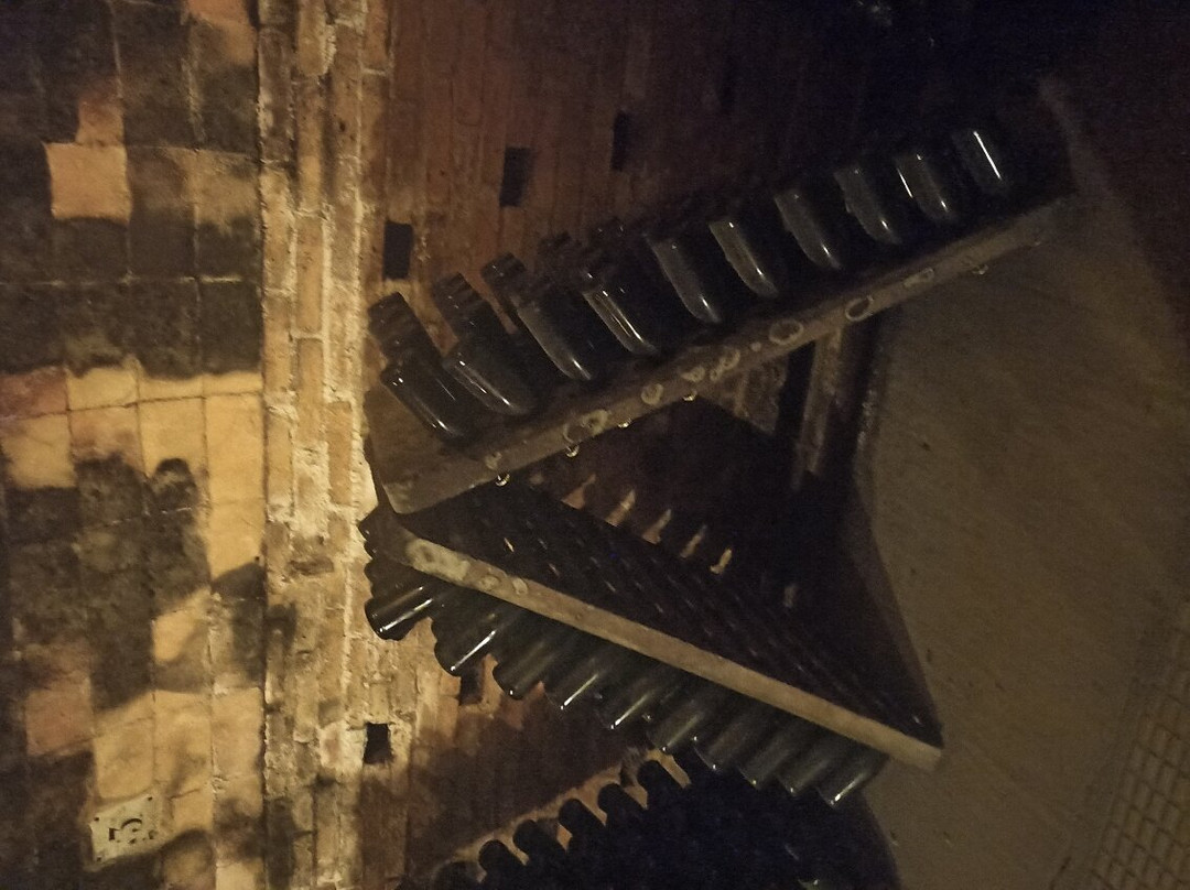 Caves Anna d’ Codorniu景点图片