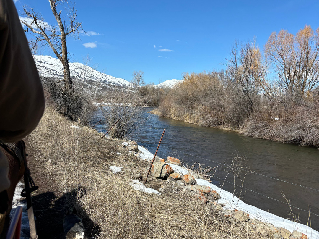 Thurston Farms-Morgan必去景点