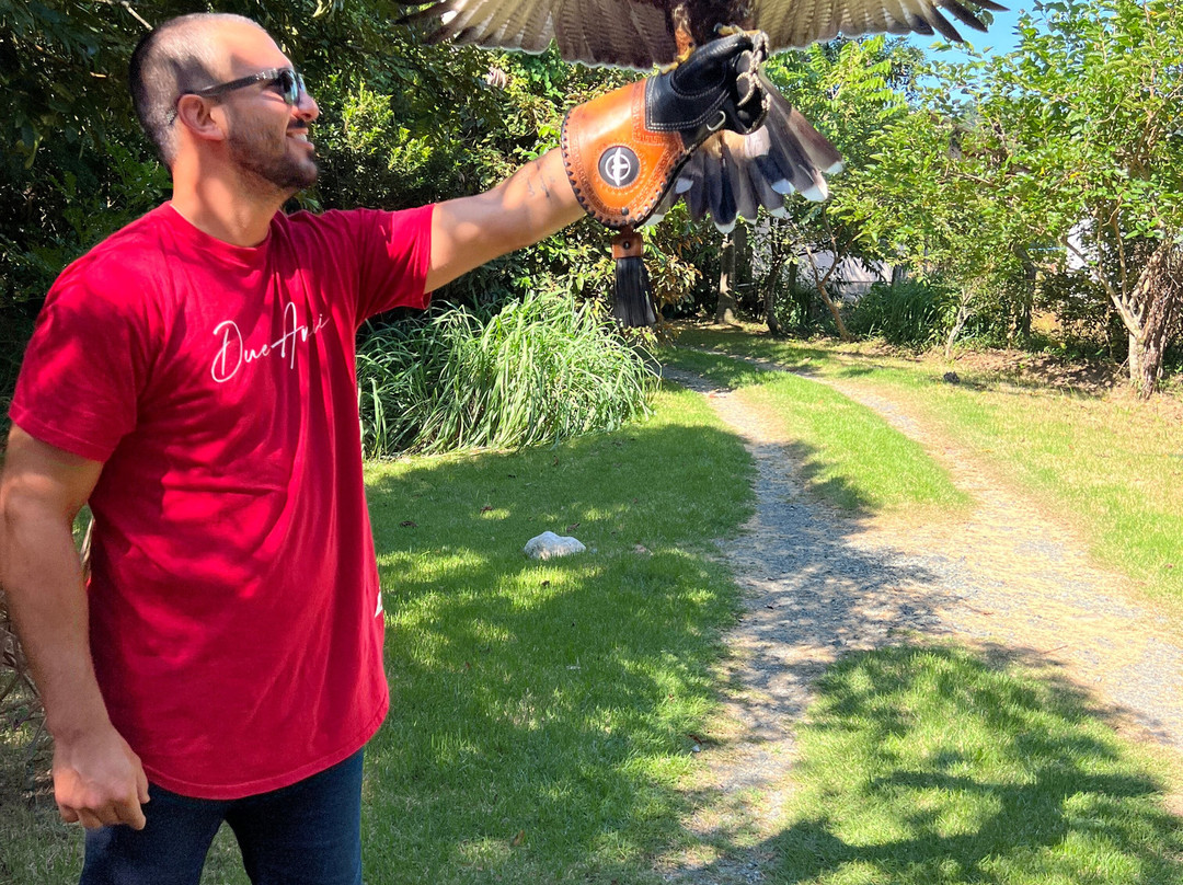 ArtFalcon Falcoaria-佩尼亚必去景点