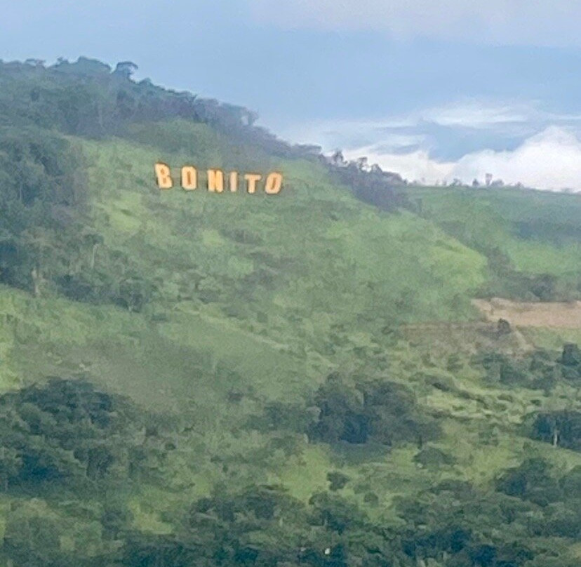 Teleferico de Bonito景点图片